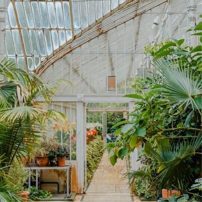 a greenhouse full of bushes, flowers and trees